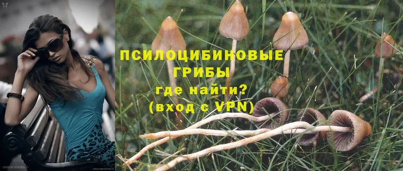 Псилоцибиновые грибы Magic Shrooms  дарнет шоп  Ярцево 